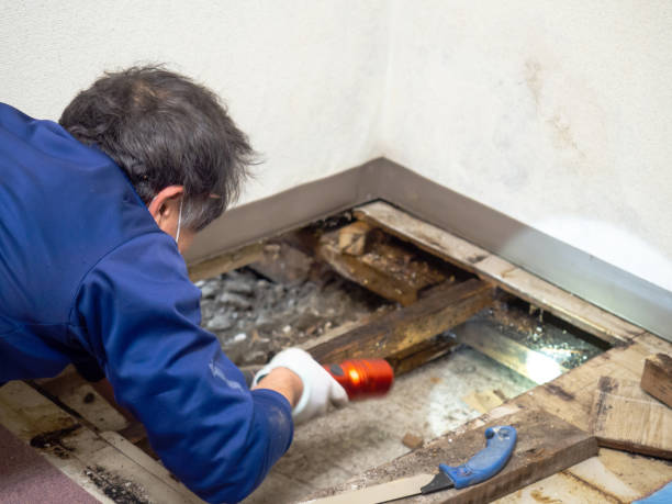 Sound Beach, NY Mold Remediation Company