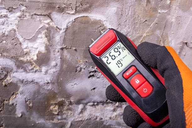 Best Insurance-Related Mold Remediation in Sound Beach, NY